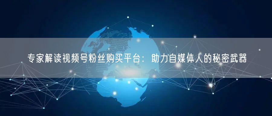 专家解读视频号粉丝购买平台：助力自媒体人