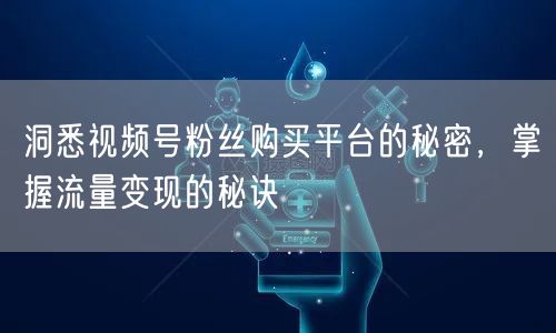 洞悉视频号粉丝购买平台的秘密，掌握流量变