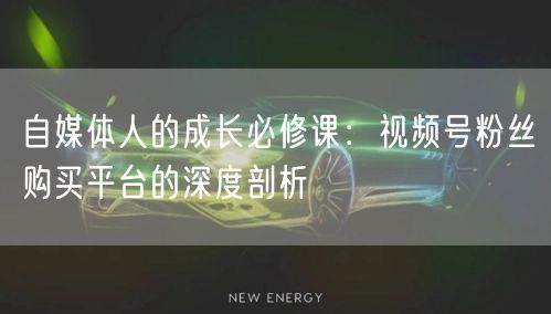 自媒体人的成长必修课：视频号粉丝购买平台