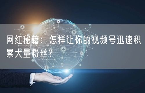 网红秘籍：怎样让你的视频号迅速积累大量粉丝？
