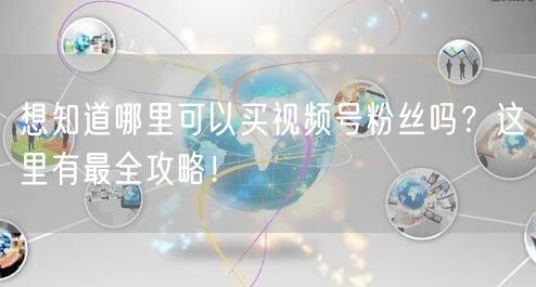 想知道哪里可以买视频号粉丝吗？这里有最全攻略！