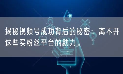 揭秘视频号成功背后的秘密：离不开这些买粉丝平台的助力。