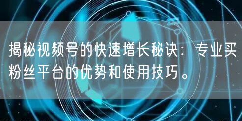 揭秘视频号的快速增长秘诀：专业买粉丝平台的优势和使用技巧。