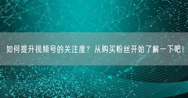 如何提升视频号的关注度？从购买粉丝开始了解一下吧！