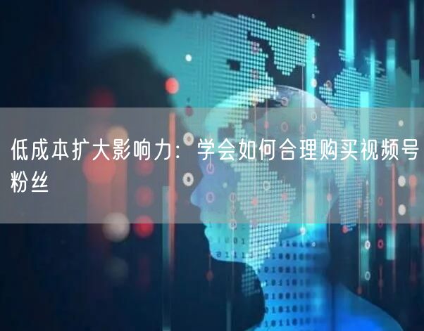 低成本扩大影响力：学会如何合理购买视频号粉丝