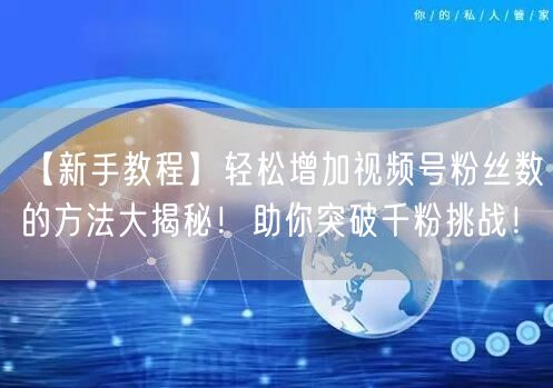 【新手教程】轻松增加视频号粉丝数的方法大揭秘！助你突破千粉挑战！