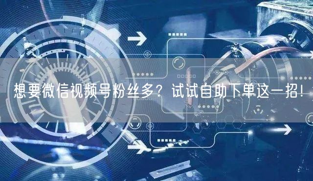 想要微信视频号粉丝多?试试自助下单这一招!