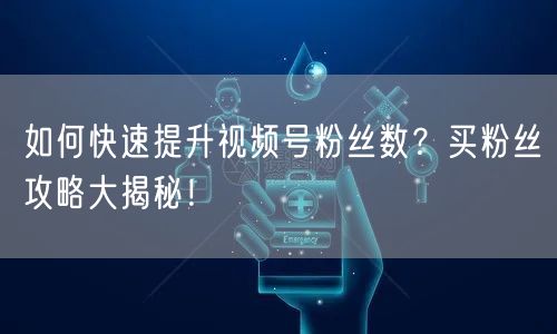 如何快速提升视频号粉丝数？买粉丝攻略大揭秘！