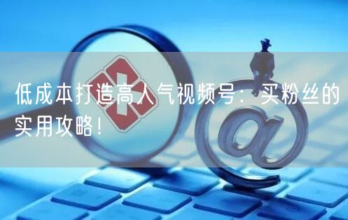 低成本打造高人气视频号：买粉丝的实用攻略！