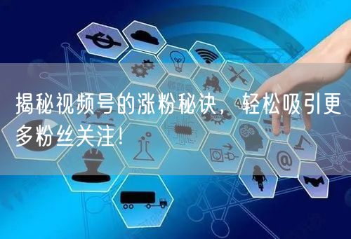 揭秘视频号的涨粉秘诀，轻松吸引更多粉丝关