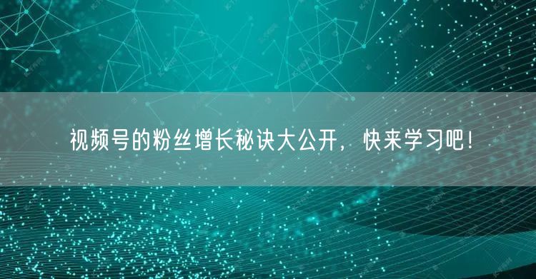 视频号的粉丝增长秘诀大公开，快来学习吧！