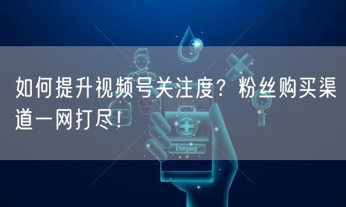 如何提升视频号关注度？粉丝购买渠道一网打尽！
