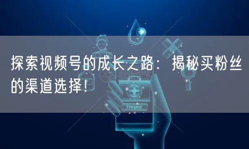 探索视频号的成长之路：揭秘买粉丝的渠道选